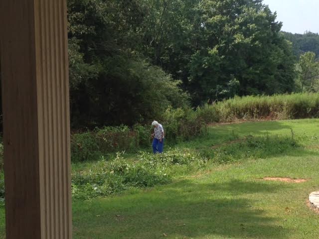 My Granny out in her garden.